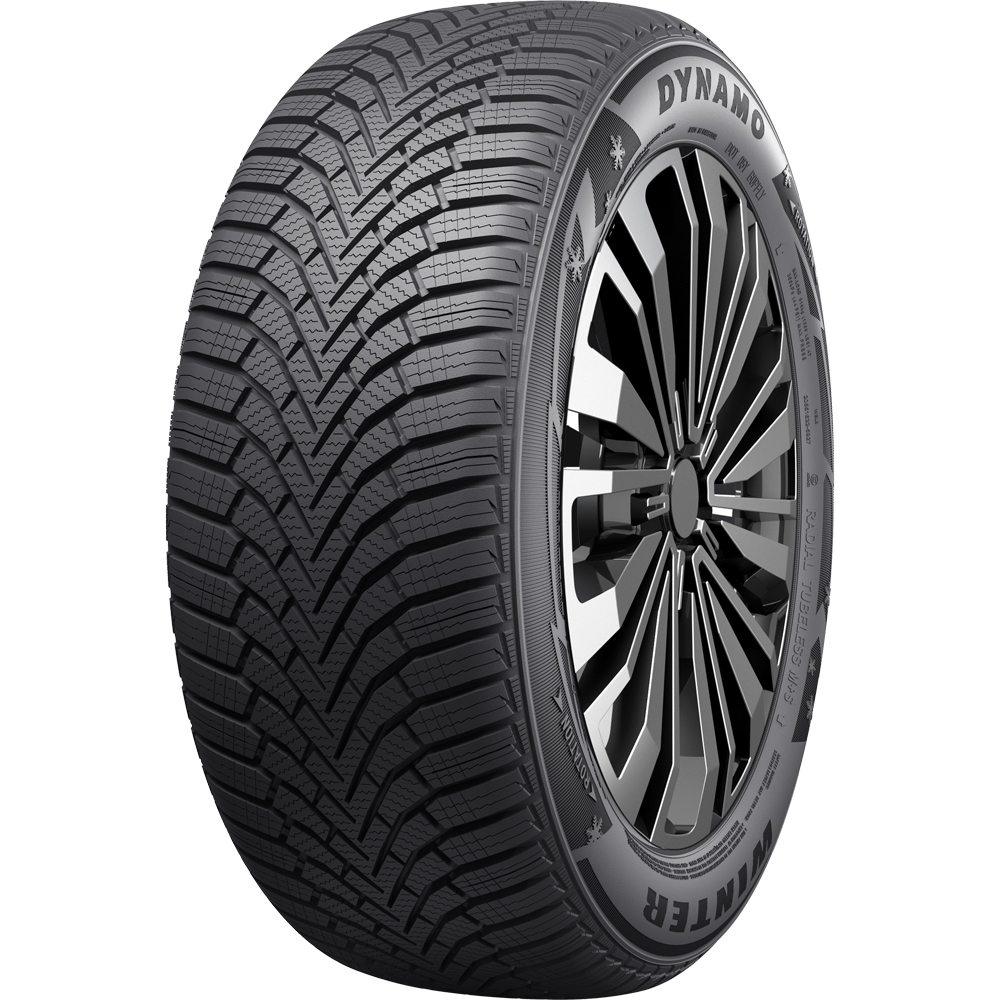 DYNAMO WINTER 91H Rehv